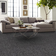 NO-LIMITS-TILE-J0108-WILD-CARD-69502-room-image