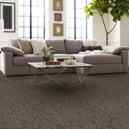 NO-LIMITS-TILE-J0108-BORDER-69703-room-image