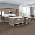 CHANGE-IN-ATTITUDE-TL-J0111-GET-A-GRIP-12109-room-image