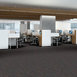 CHANGE-IN-ATTITUDE-TL-J0111-SHAPE-UP-12317-room-image