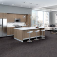 CHANGE-IN-ATTITUDE-TL-J0111-TAKE-ACTION-12516-room-image