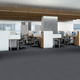 CHANGE-IN-ATTITUDE-BROADLOOM-J0112-NO-WORRIES-12415-room-image