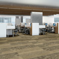 INTERMIX-J0135-EMULSIFY-00305-room-image