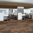 INTERMIX-J0135-AMALGAMATE-00608-room-image