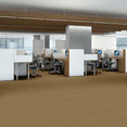 PRESTIGE-J0174-CELEBRITY-74220-room-image