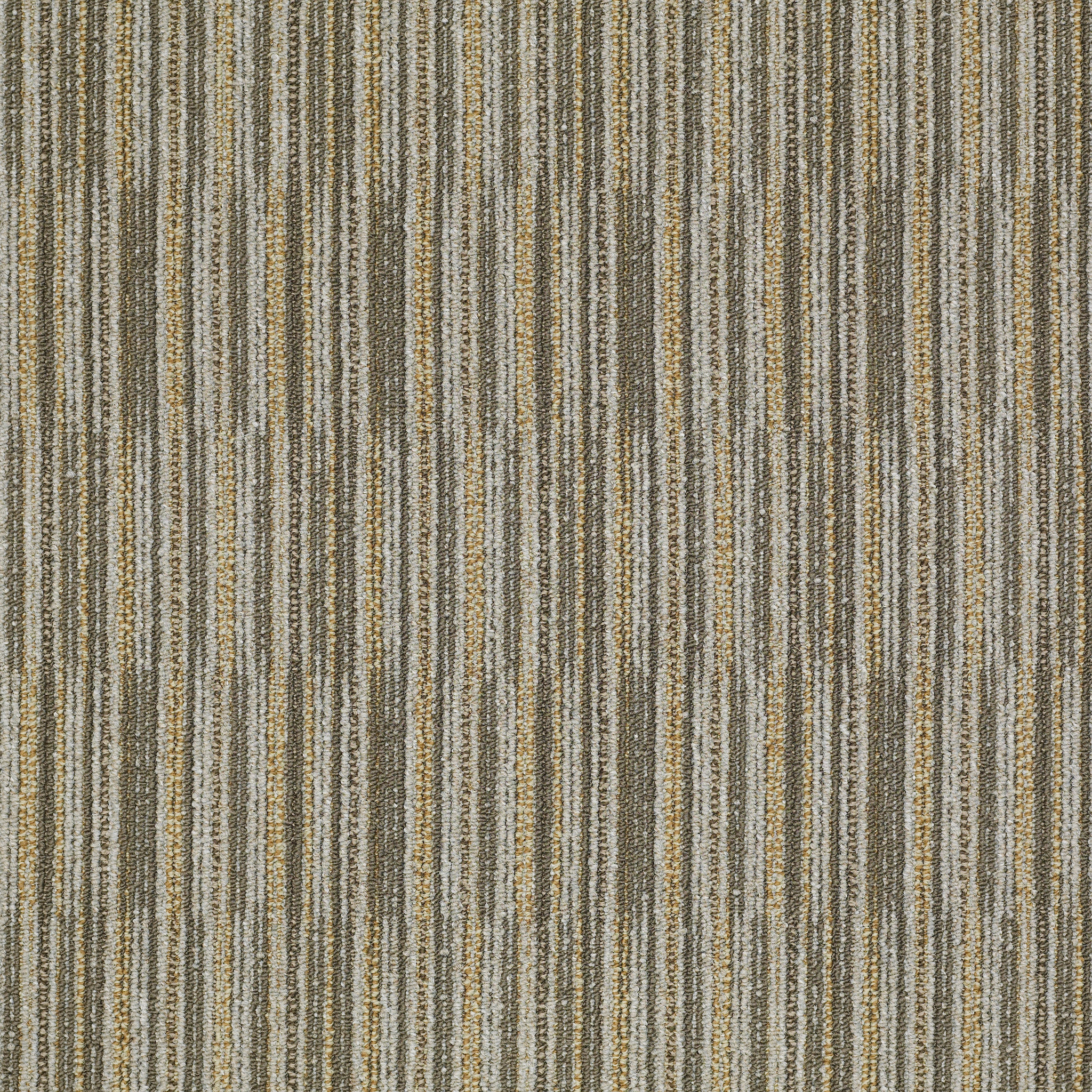 Cutaway - Selection - J0181_81204