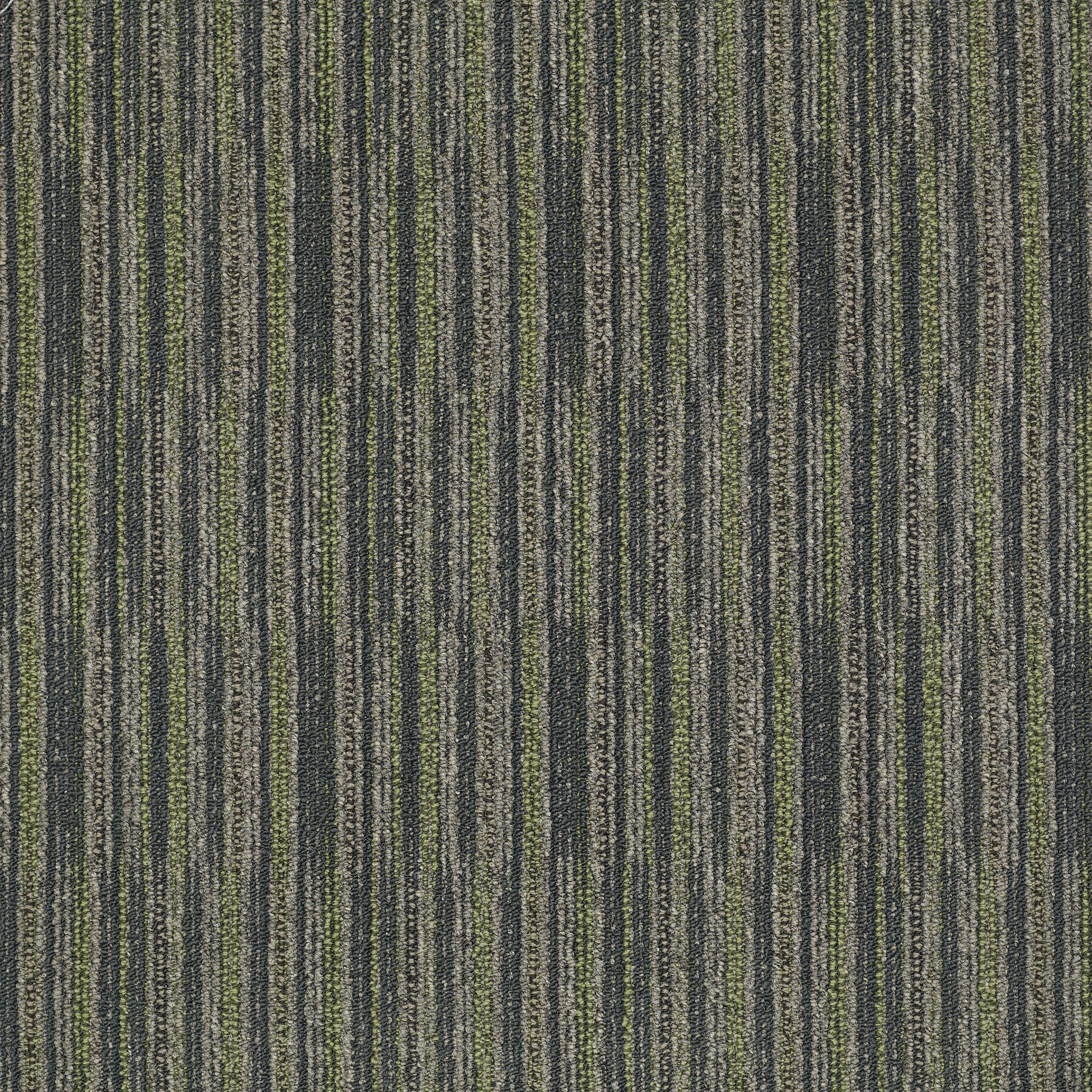 Cutaway-Specimen-J0181_81306