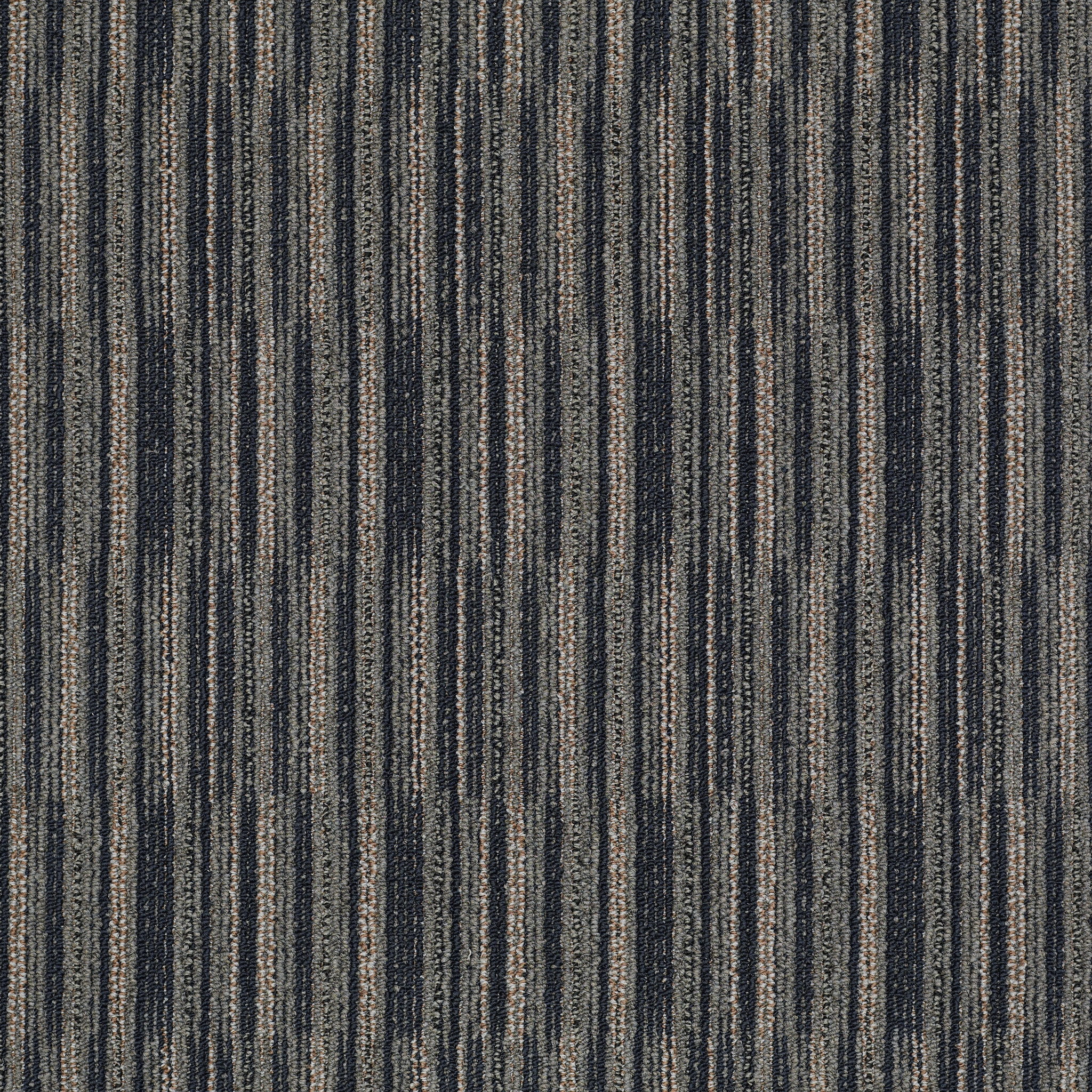 Cutaway-Portion-J0181_81402