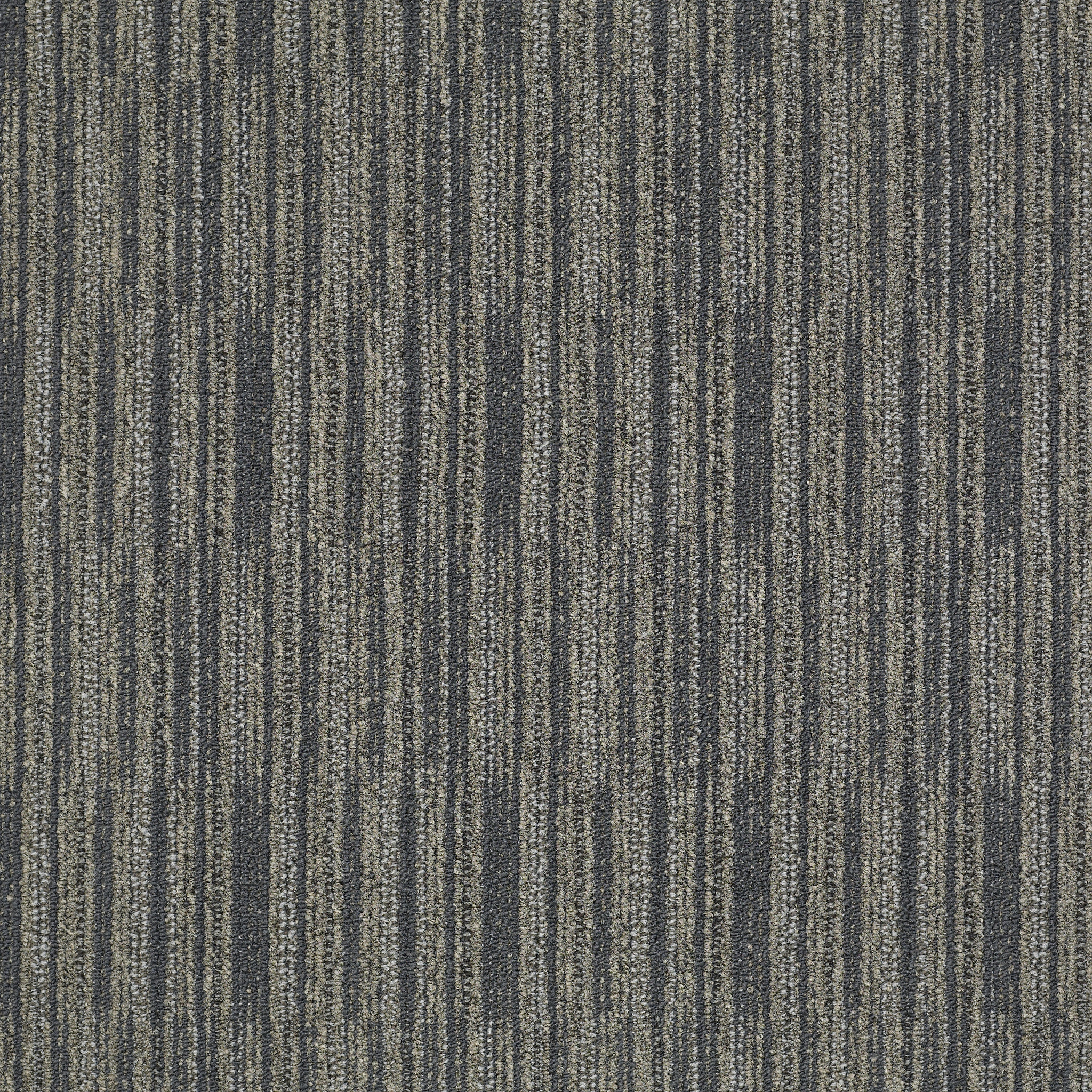 Cutaway-Sample-J0181_81501