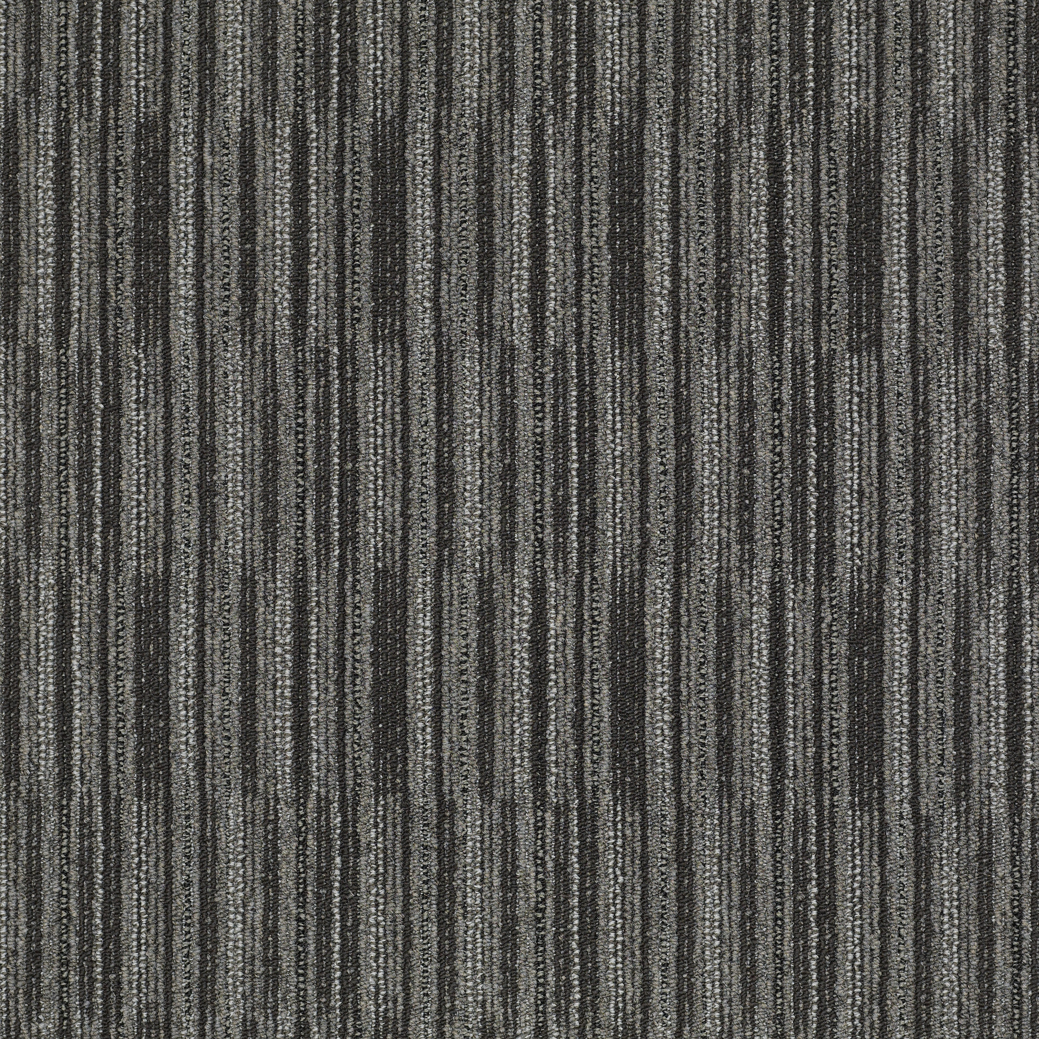 Cutaway-Model-J0181_81503