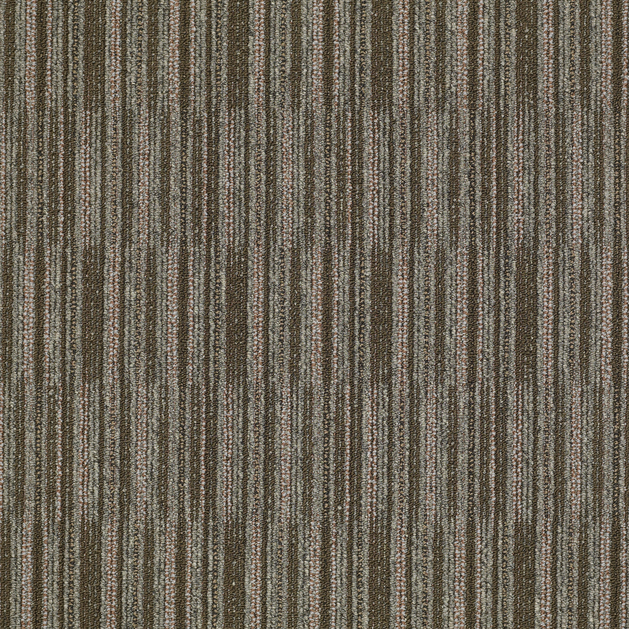 Cutaway-Segment-J0181_81708