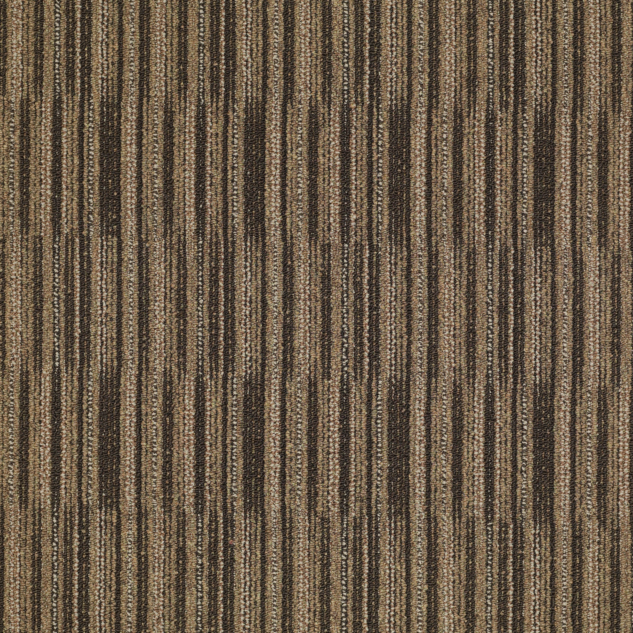 Cutaway-Instance-J0181_81709