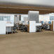 IMMERSE-J0187-INTENSIFY-87205-room-image