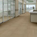 IMMERSE-J0187-INTENSIFY-87205-room-image