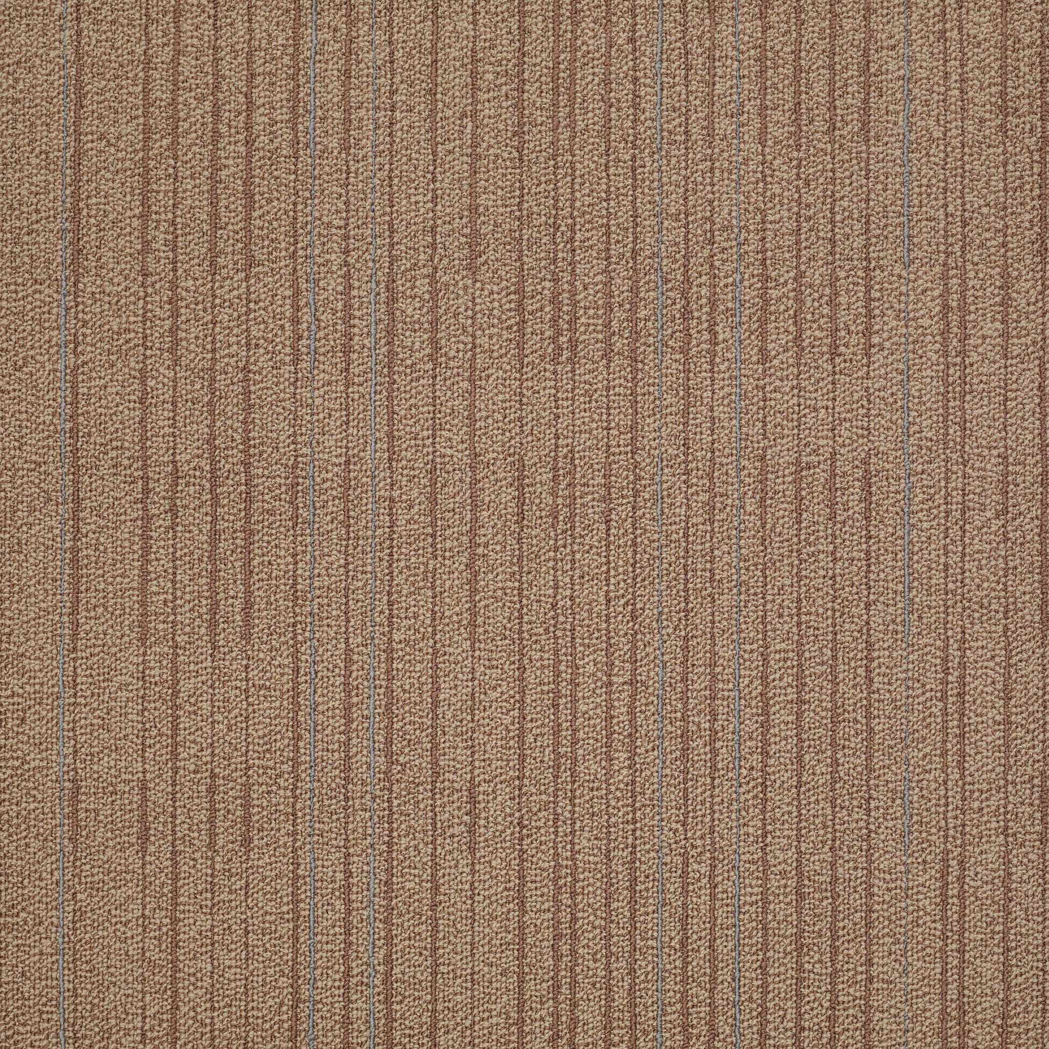 Immerse - Intensify - J0187_87205