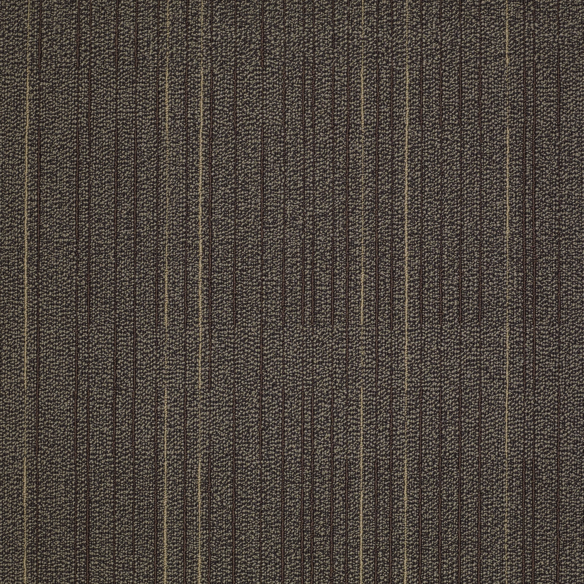 Immerse-Study-J0187_87310