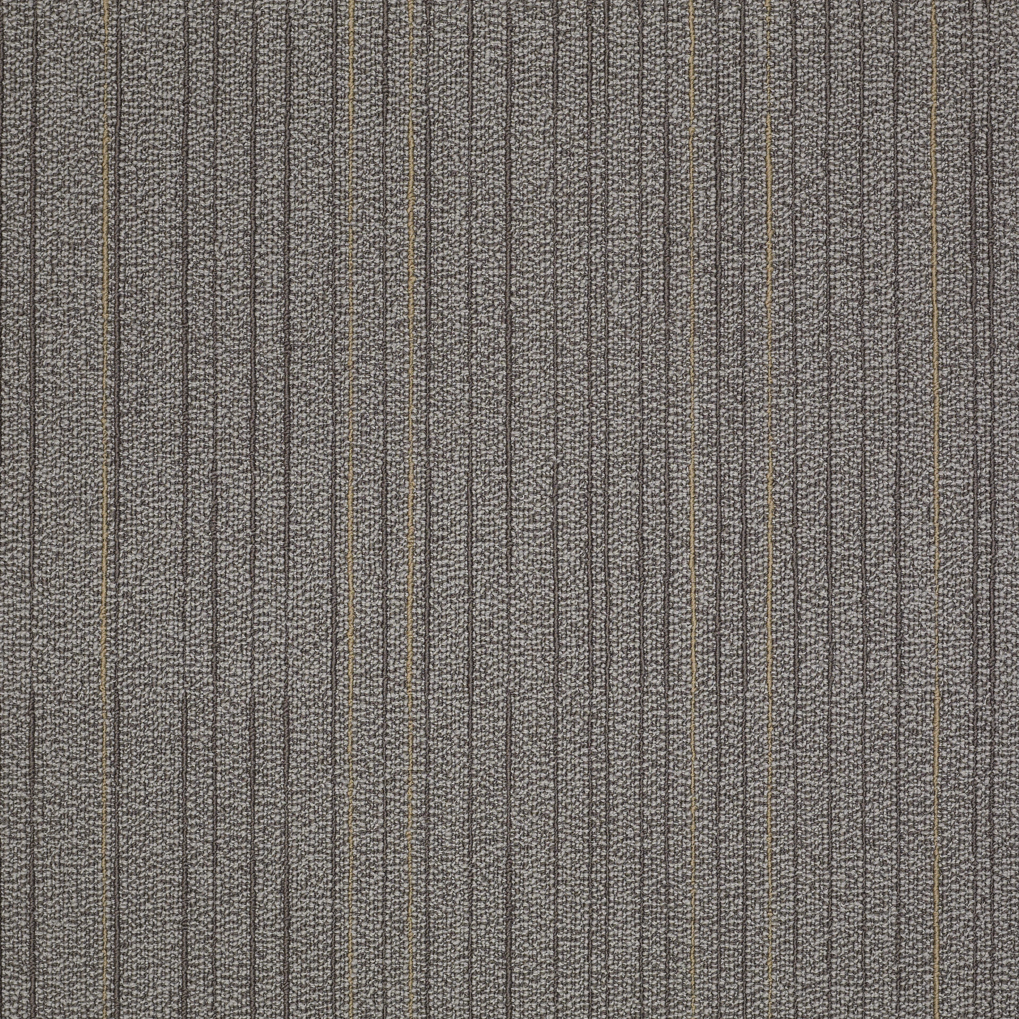 Immerse-Meditate-J0187_87500