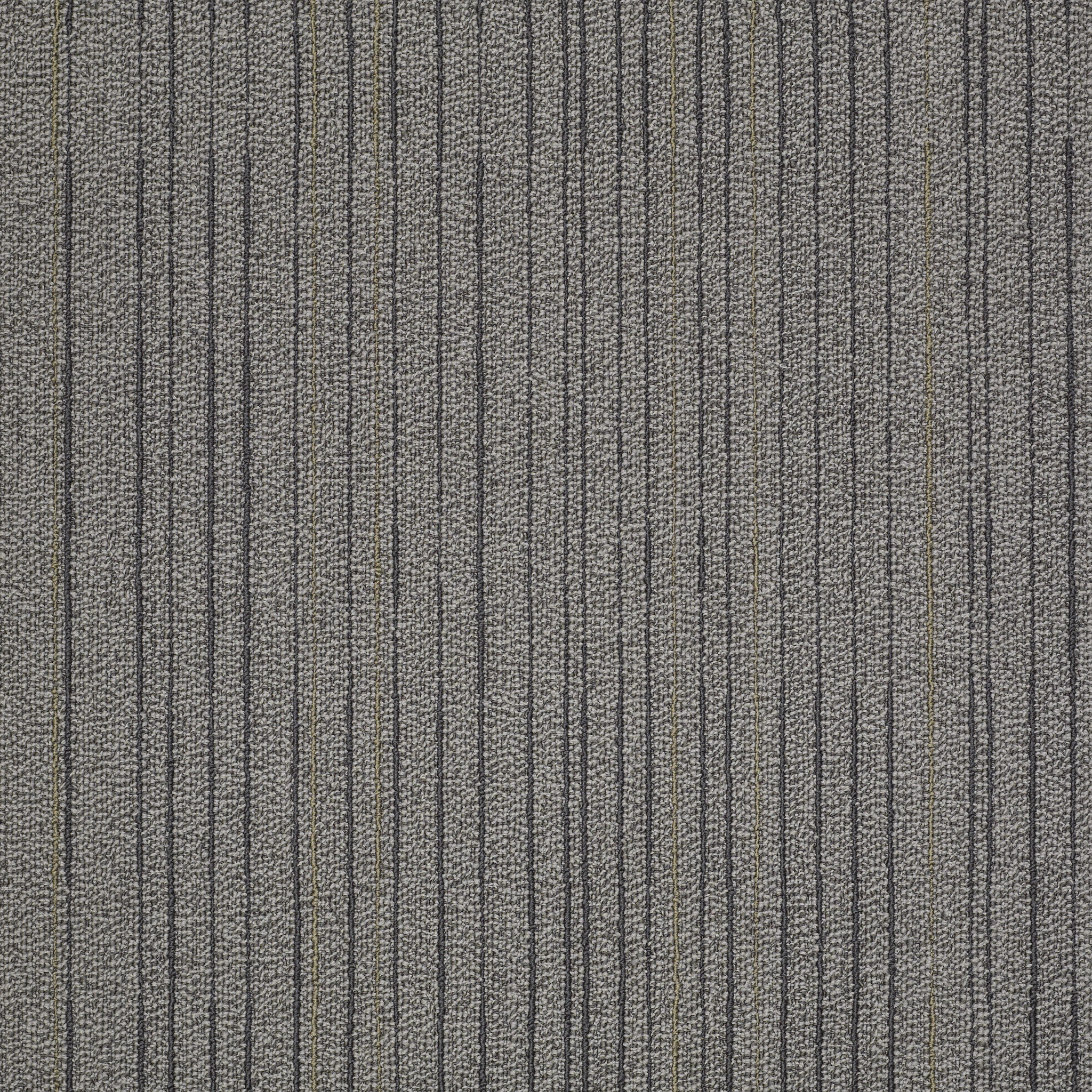 Immerse-Contemplate-J0187_87505