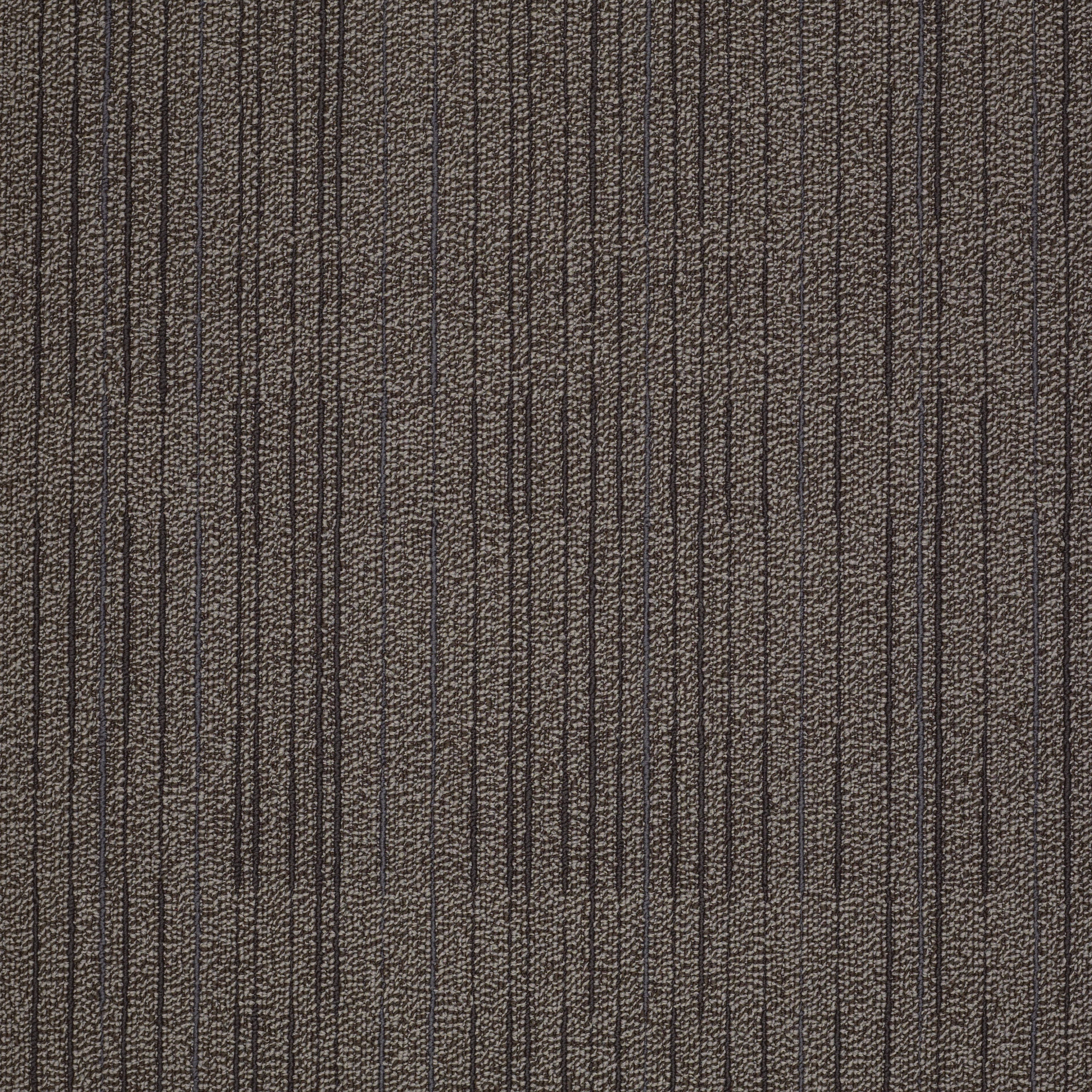 Immerse-Involve-J0187_87710