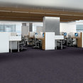 NO-LIMITS-22-J0196-EXPANSIVE-69402-room-image