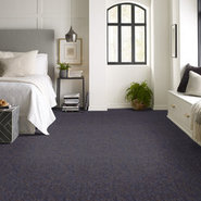 NO-LIMITS-22-J0196-EXPANSIVE-69402-room-image