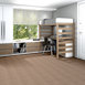 NO-LIMITS-22-J0196-POTENTIAL-69702-room-image