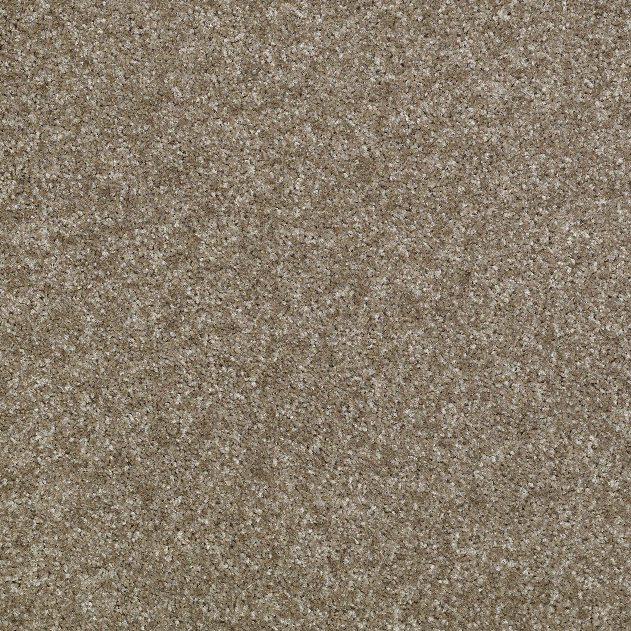 Eco Selection II-Copley Gray-PS672_00541