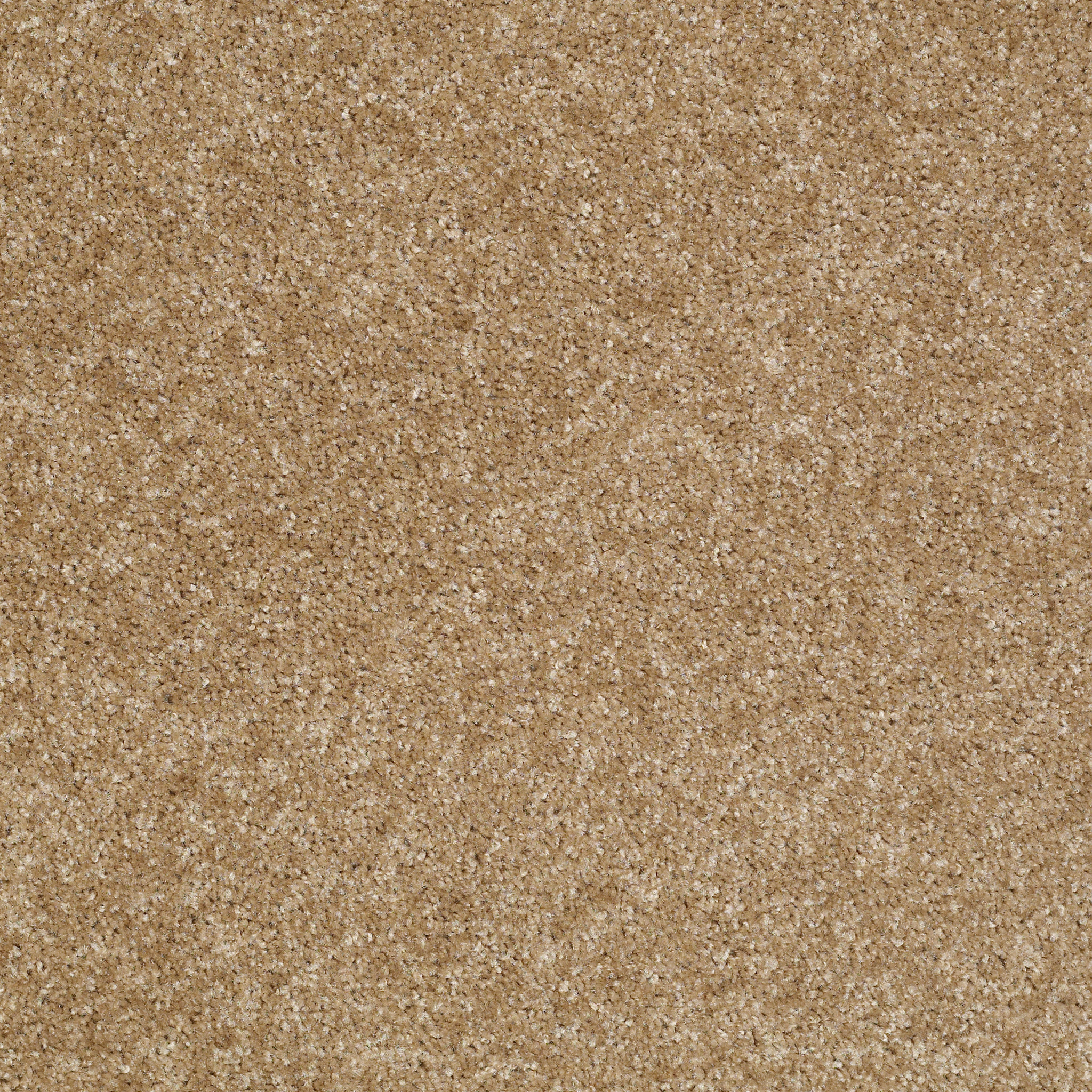 Eco Selection II-Stone Path-PS672_00730