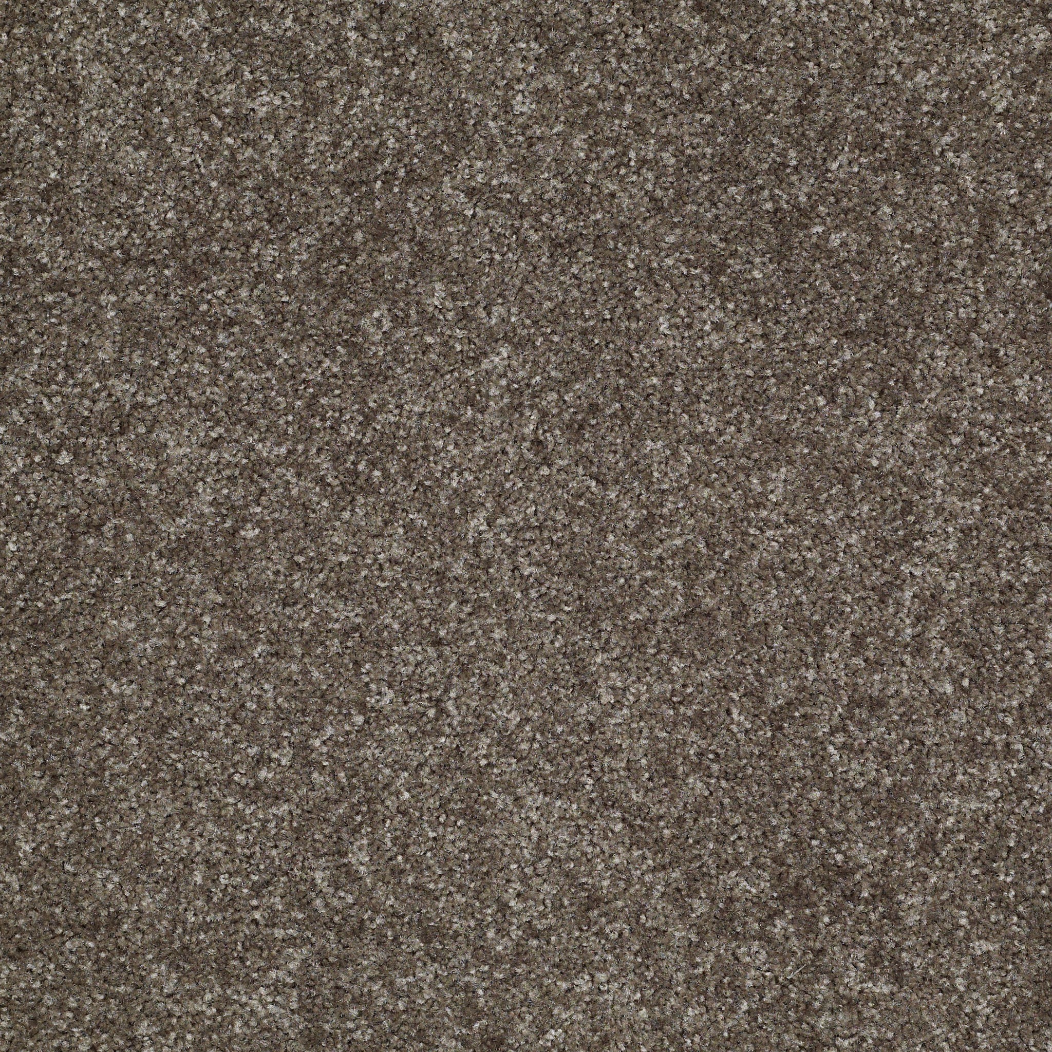 Eco Selection II-Rocky Ridge-PS672_00742