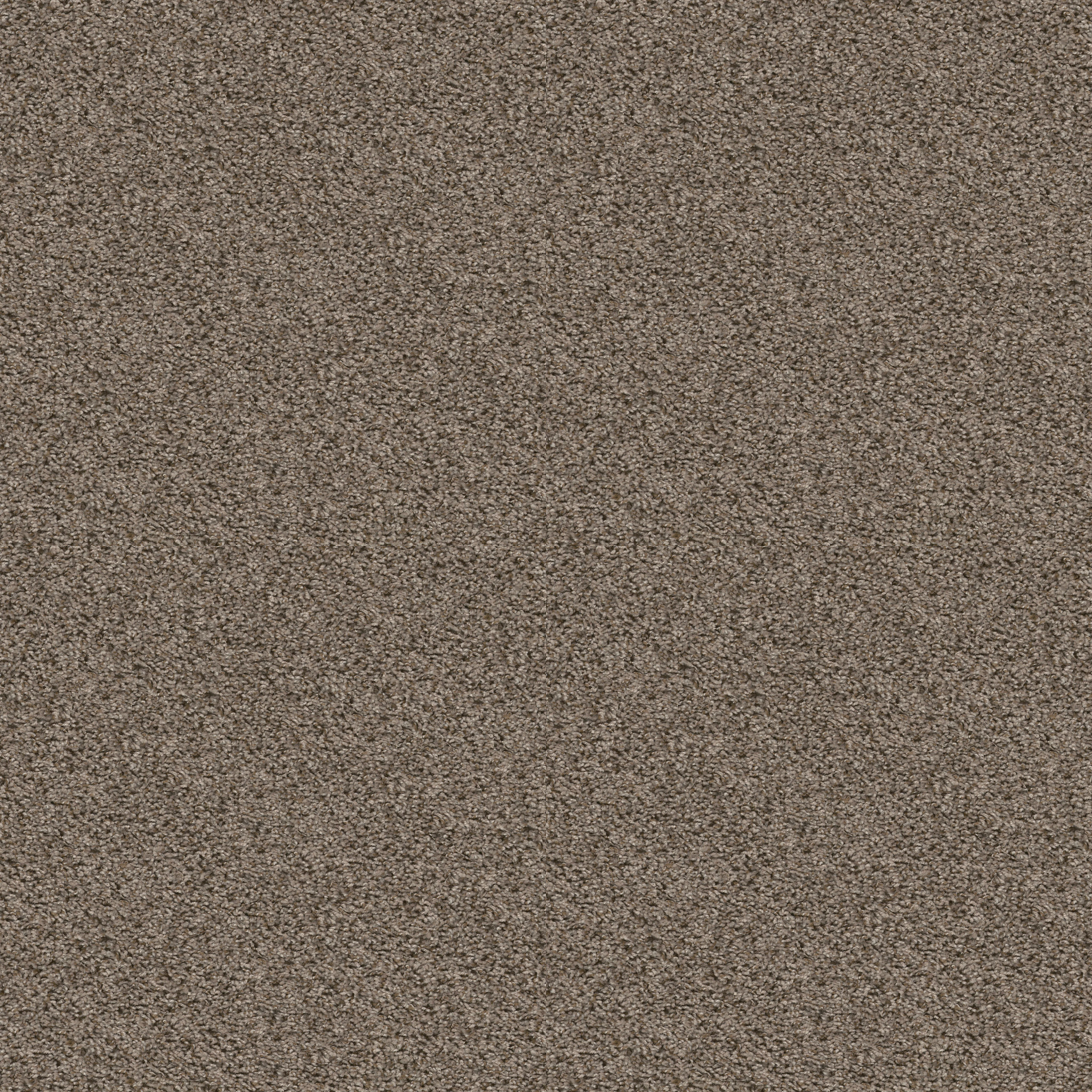 Motivation-Pale Desert-PS800_00710