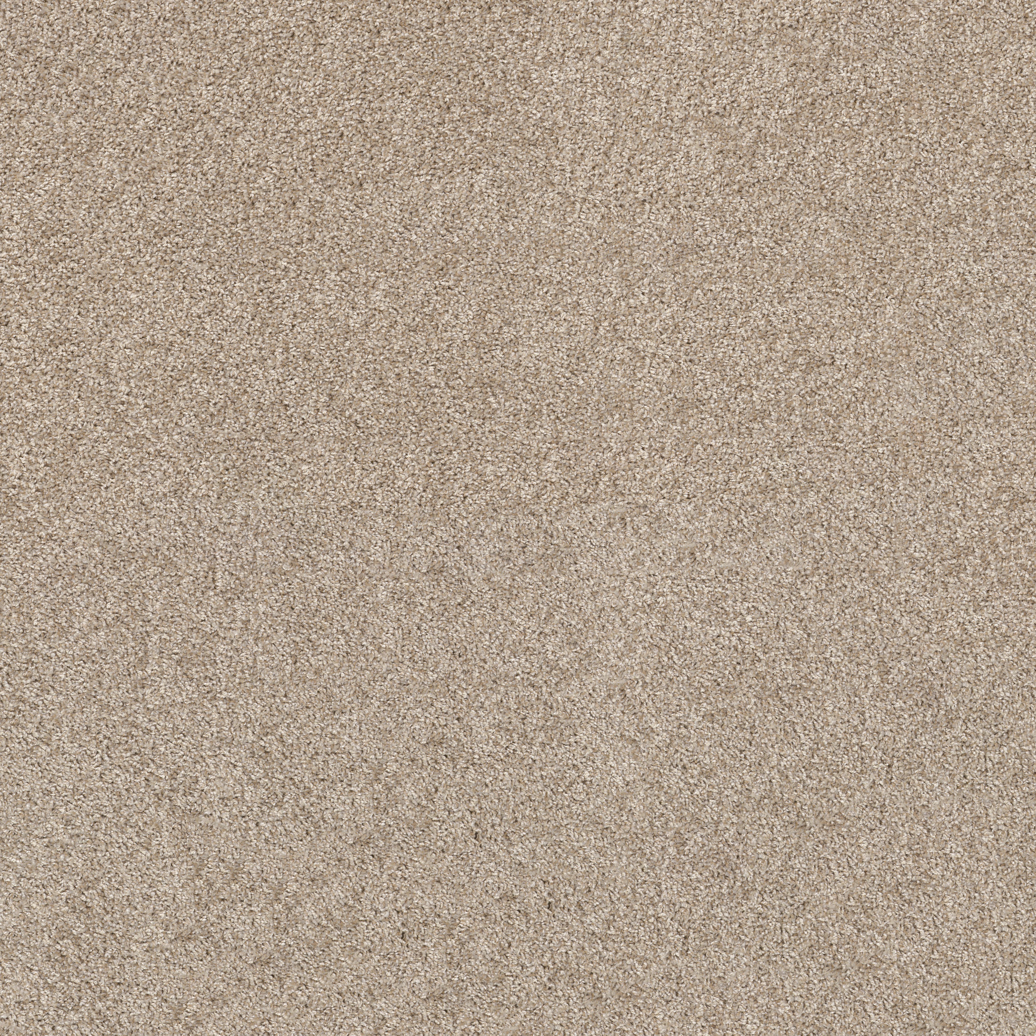 Commanding Tweed-Creamy Silk