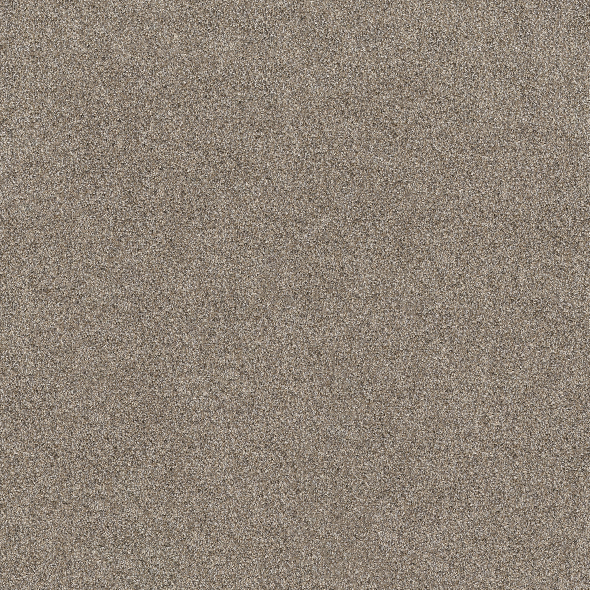 Commanding Tweed-Fox Fur-PS806_00102