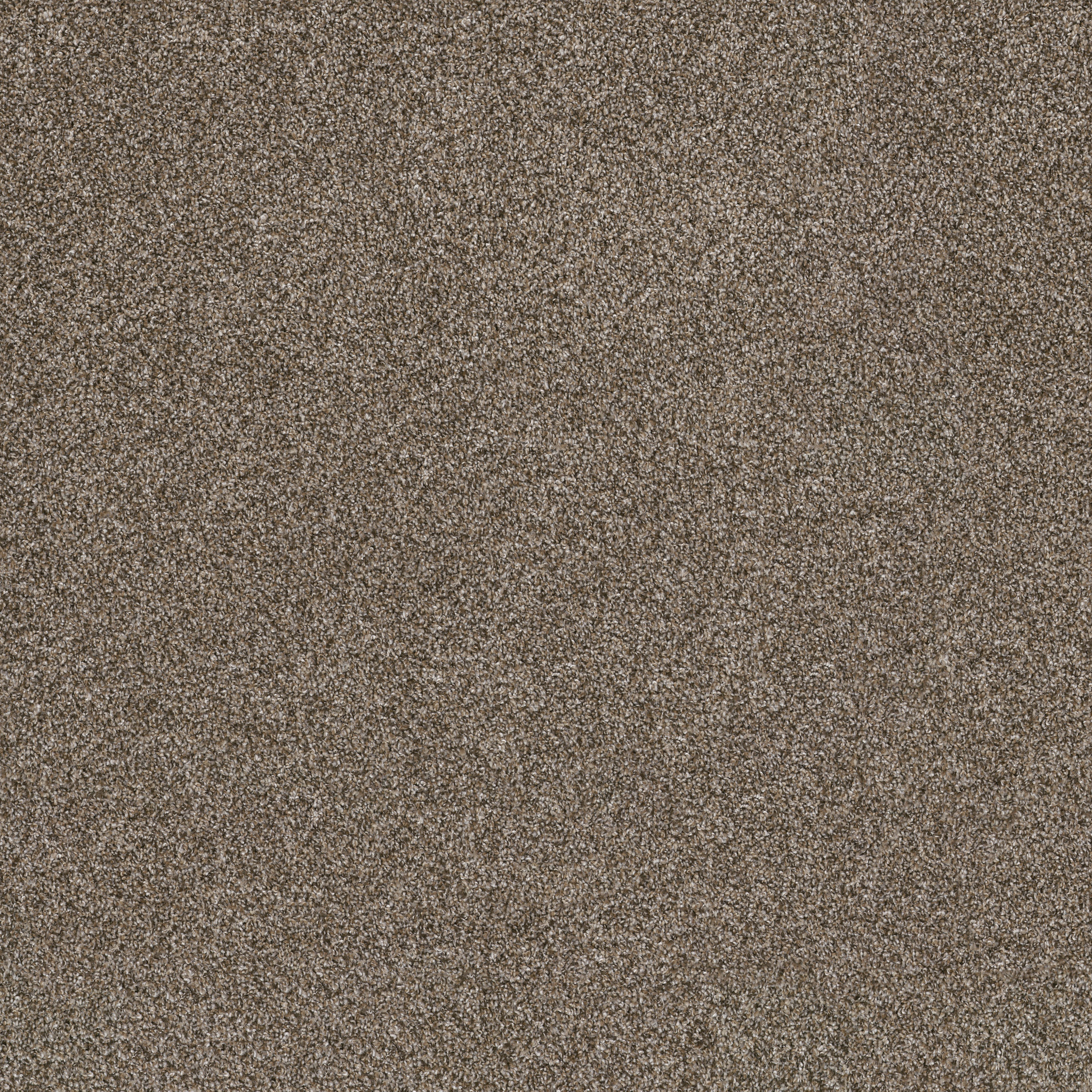 Commanding Tweed-Mocha Latte'-PS806_00705