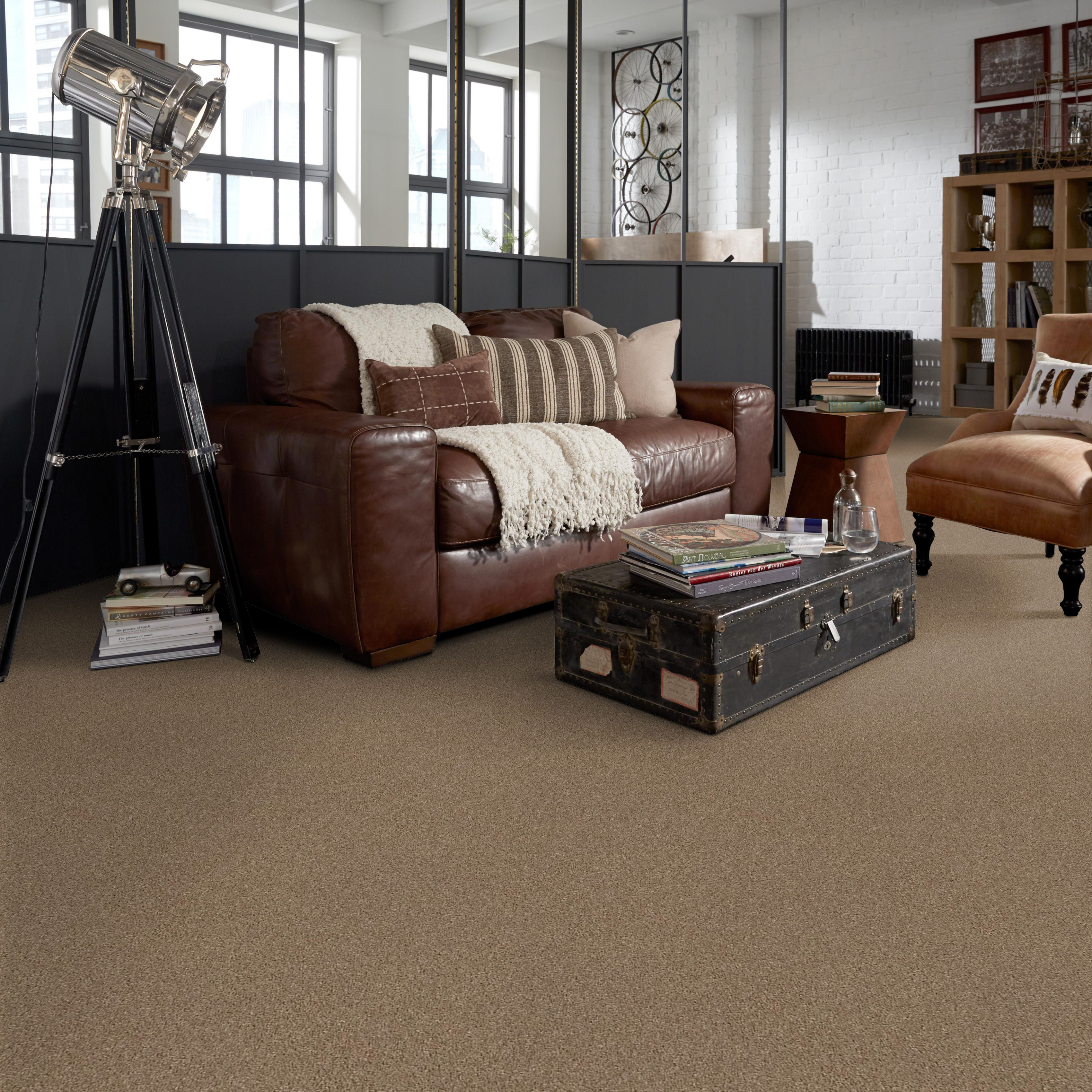 Commanding Solid - Cappuccino - PS807_00741