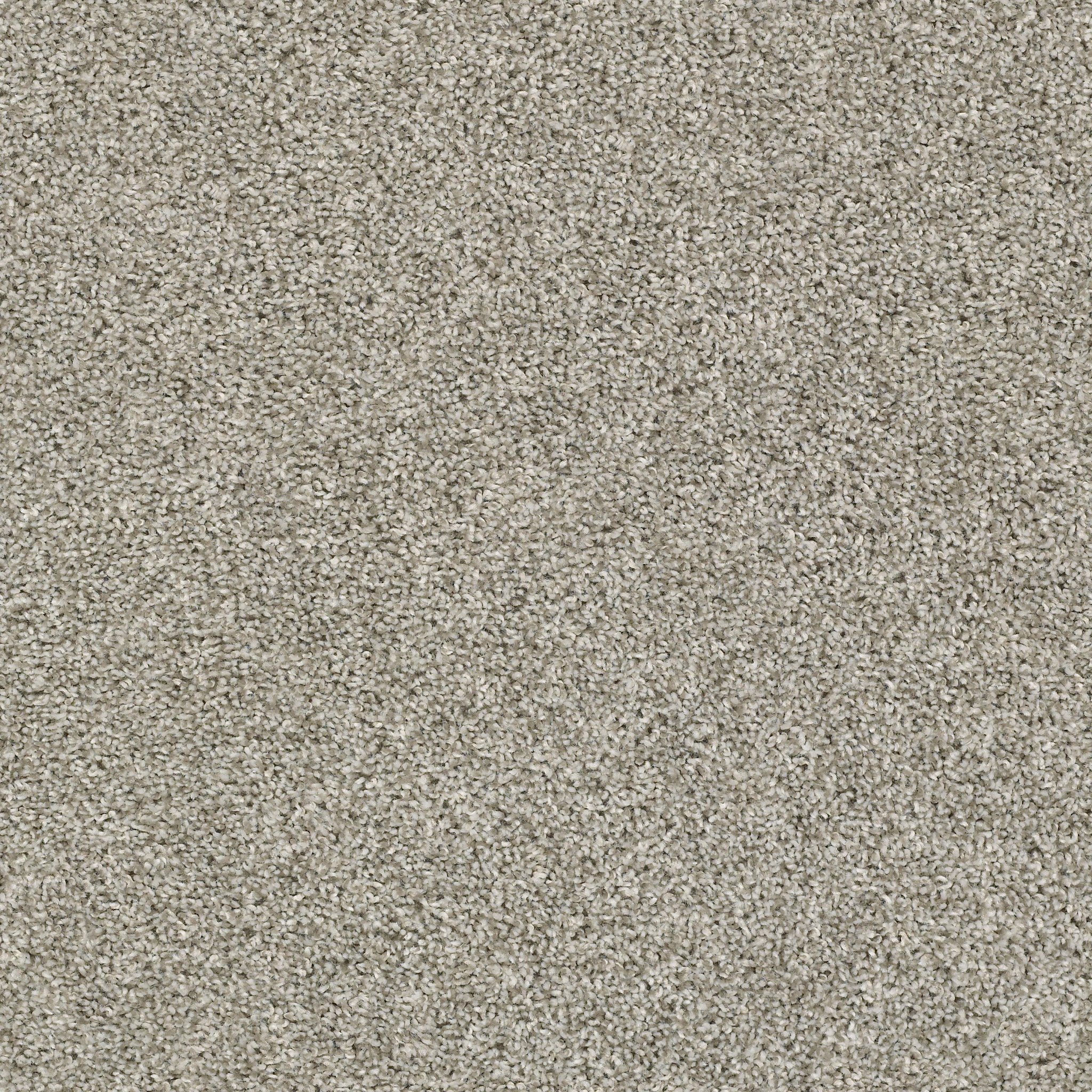 enduring tonal ornamental gate carpets pz003_00122 Shaw