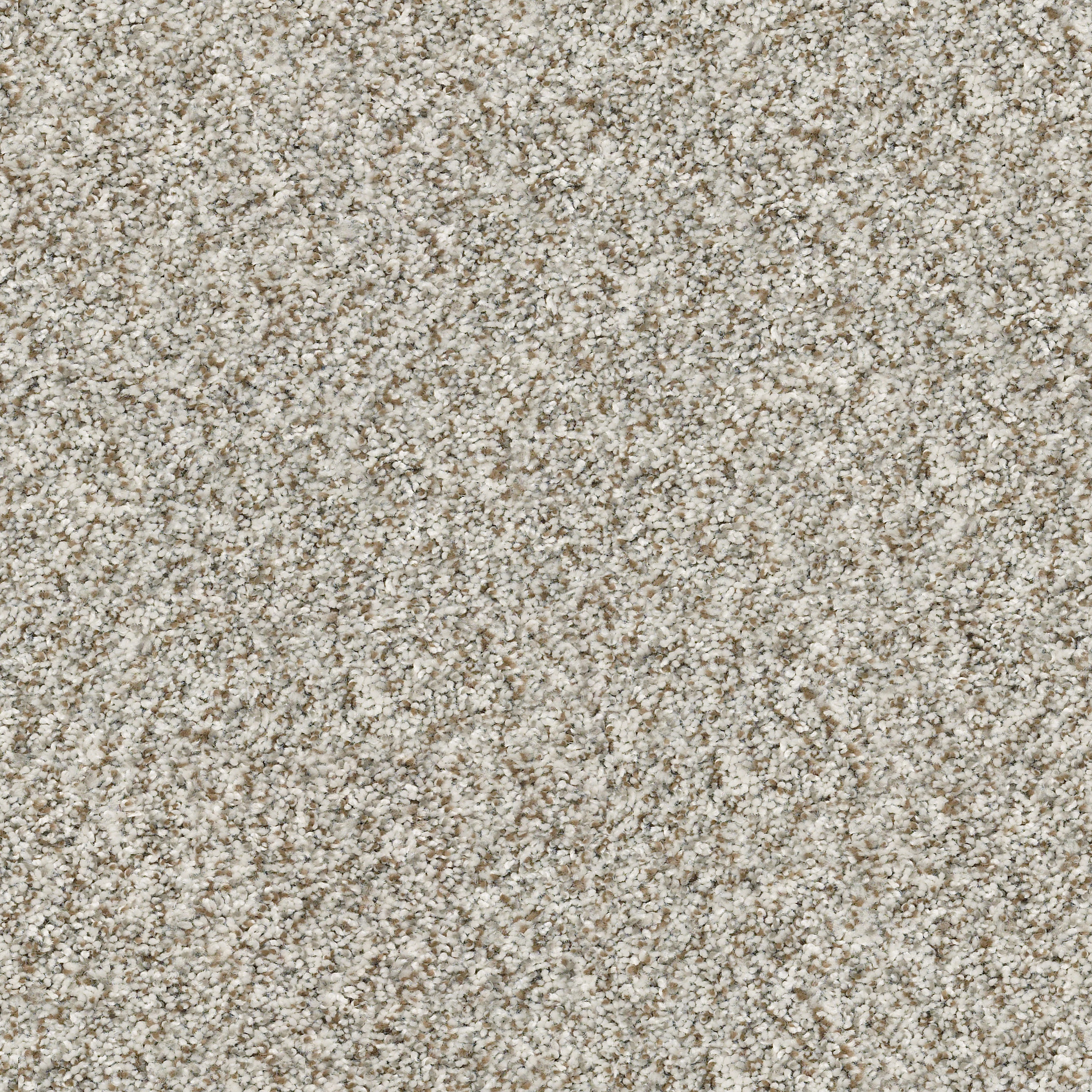 Presidio Tweed-Seashell-PZ027_00151