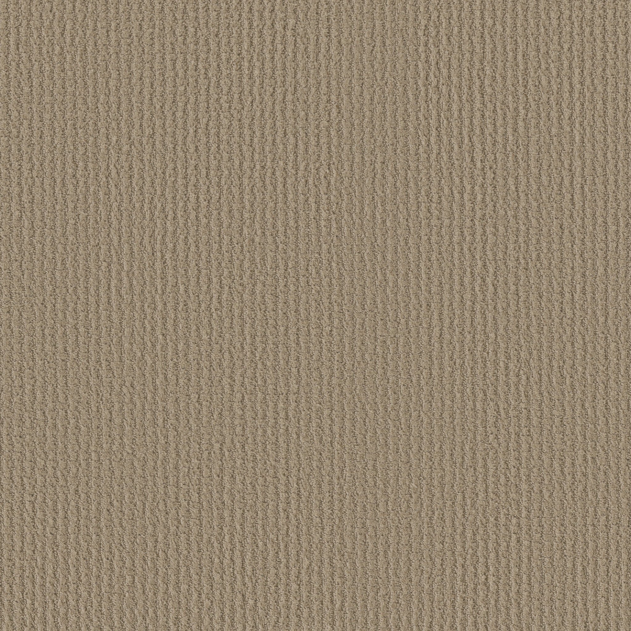 Suite Distinction-Biscotti-PZ028_00783