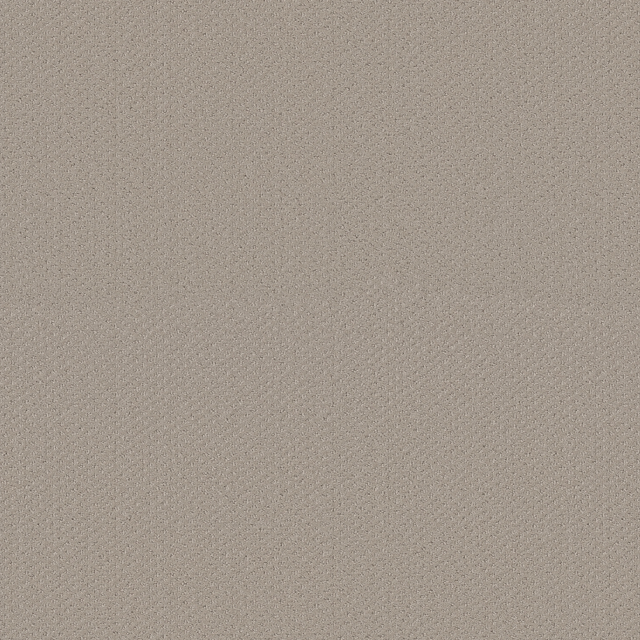 Suite Finesse-Studio Taupe-PZ029_00173