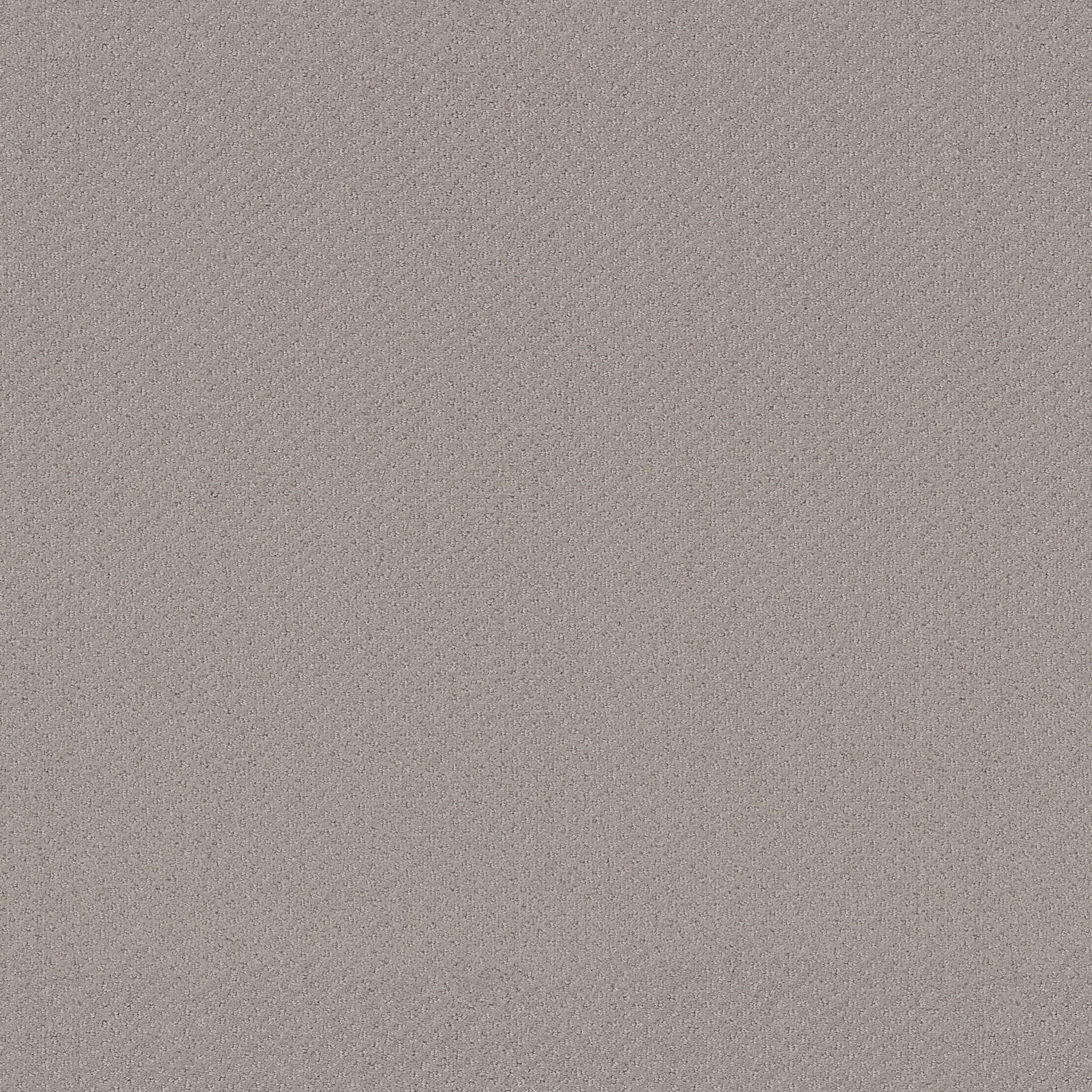 Suite Finesse-Quiet Moment-PZ029_00175