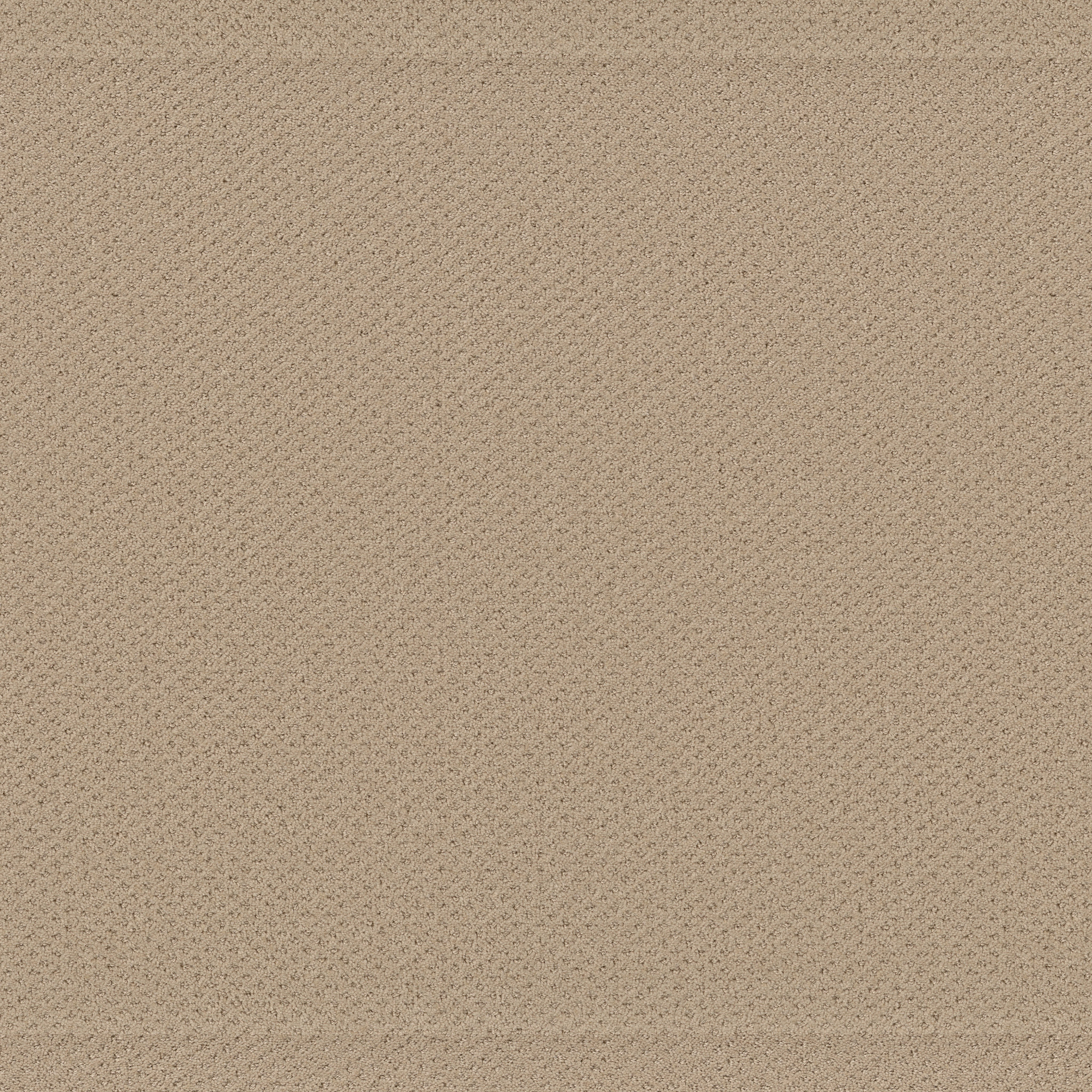 Suite Finesse-Soft Honey-PZ029_00182