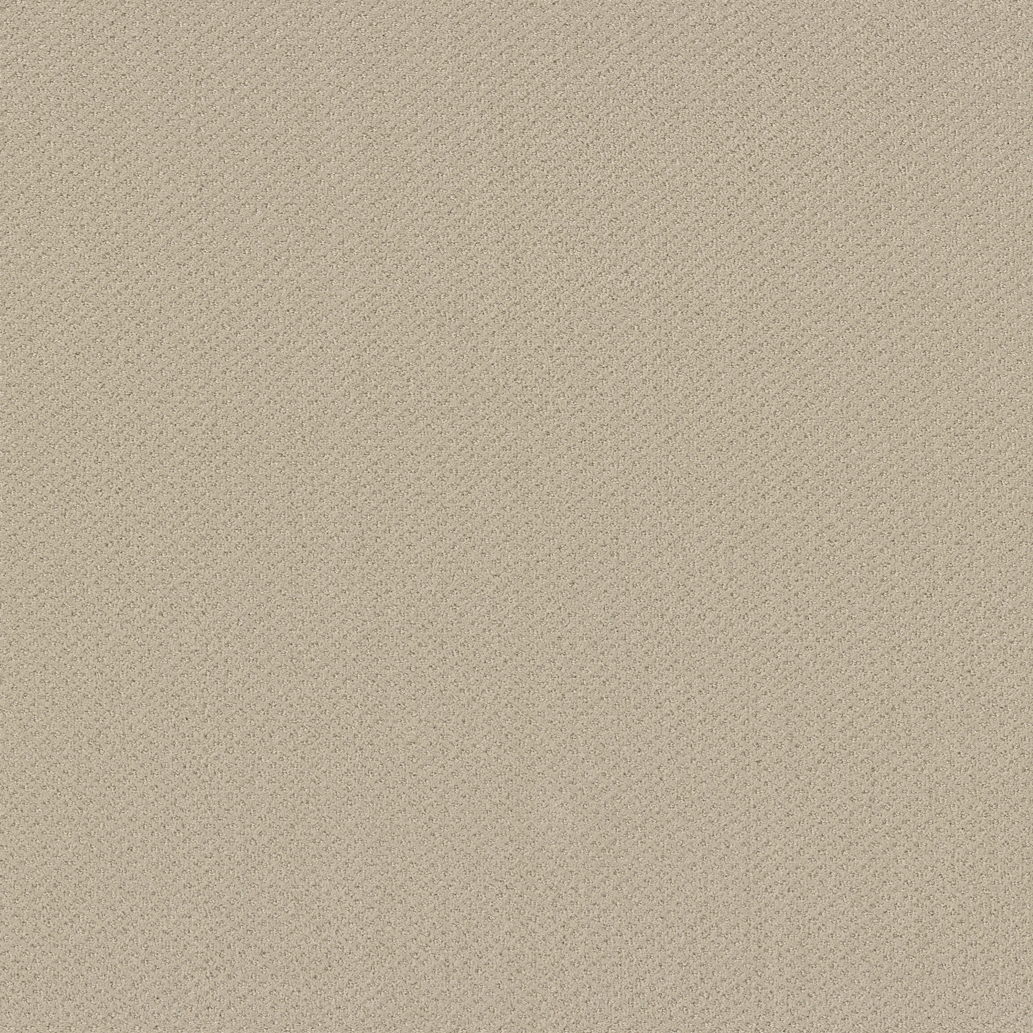 Suite Finesse-Sentimental-PZ029_00183