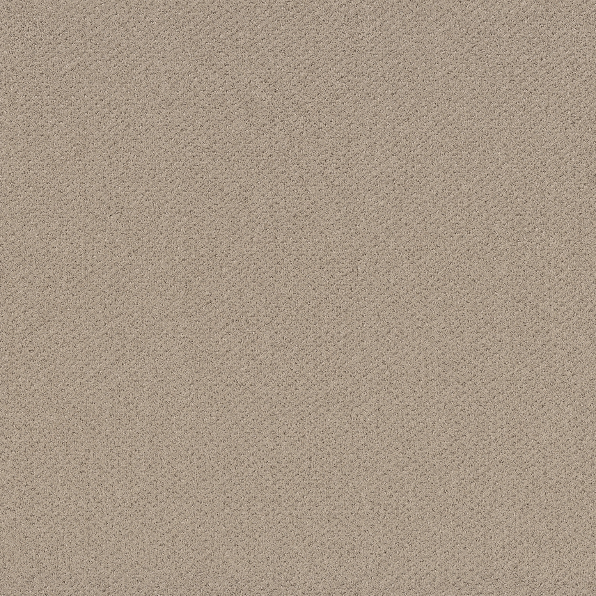 Suite Finesse-Boutique-PZ029_00184