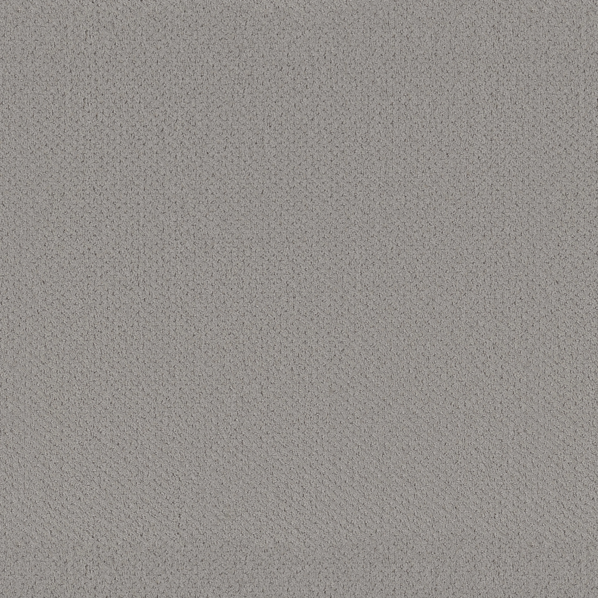 Suite Finesse-Silhouette-PZ029_00570