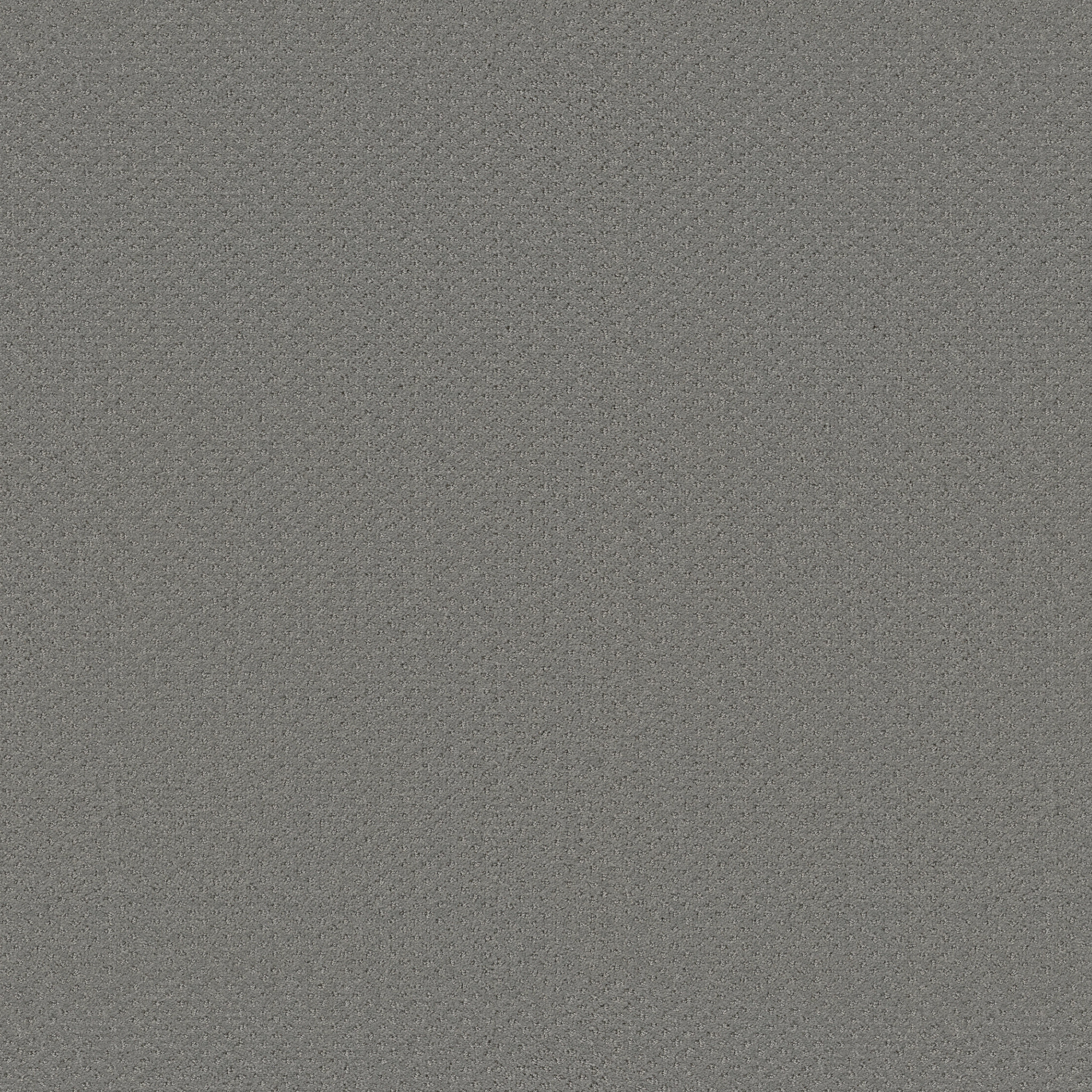 Suite Finesse-Metal-PZ029_00577