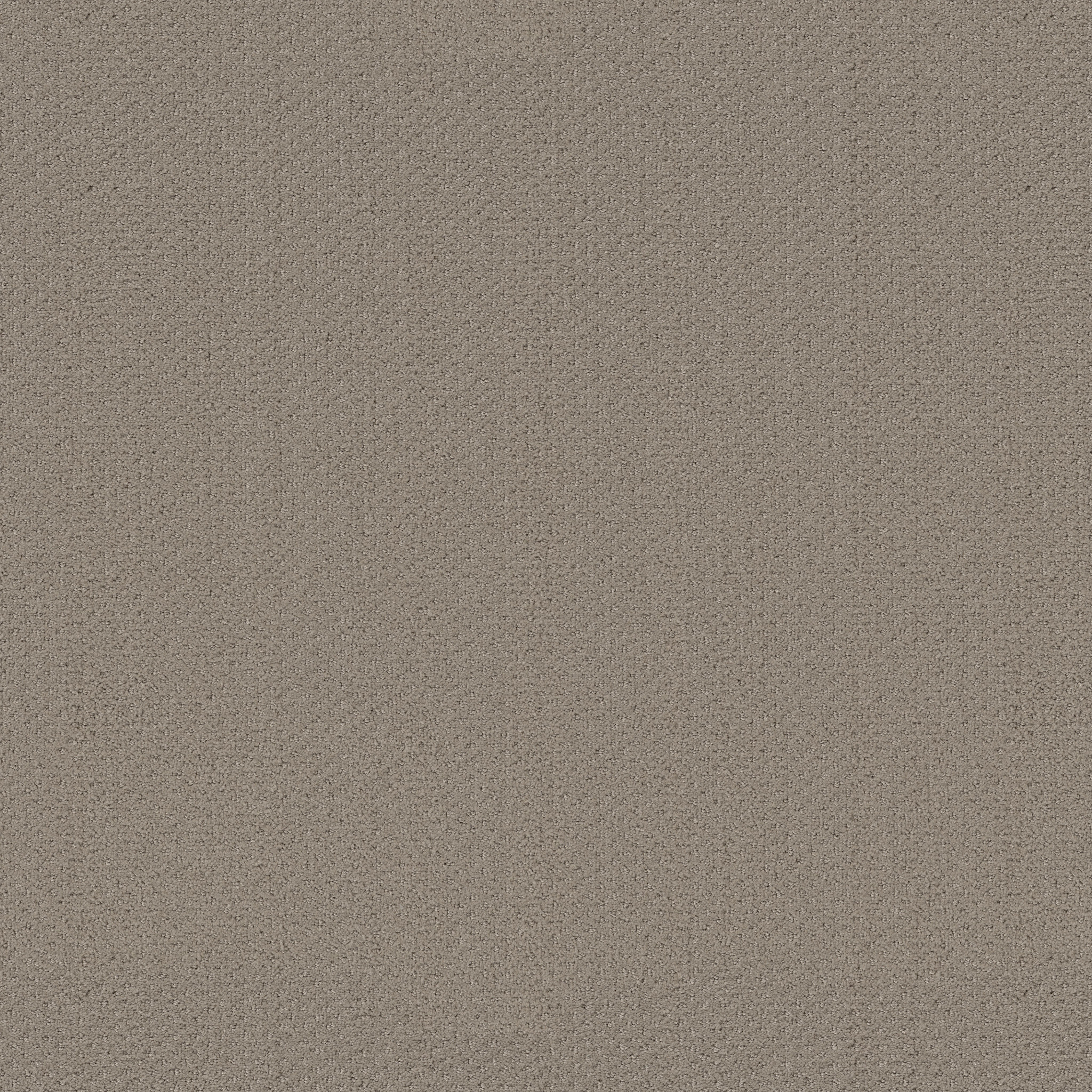 Suite Finesse-Park Avenue-PZ029_00770