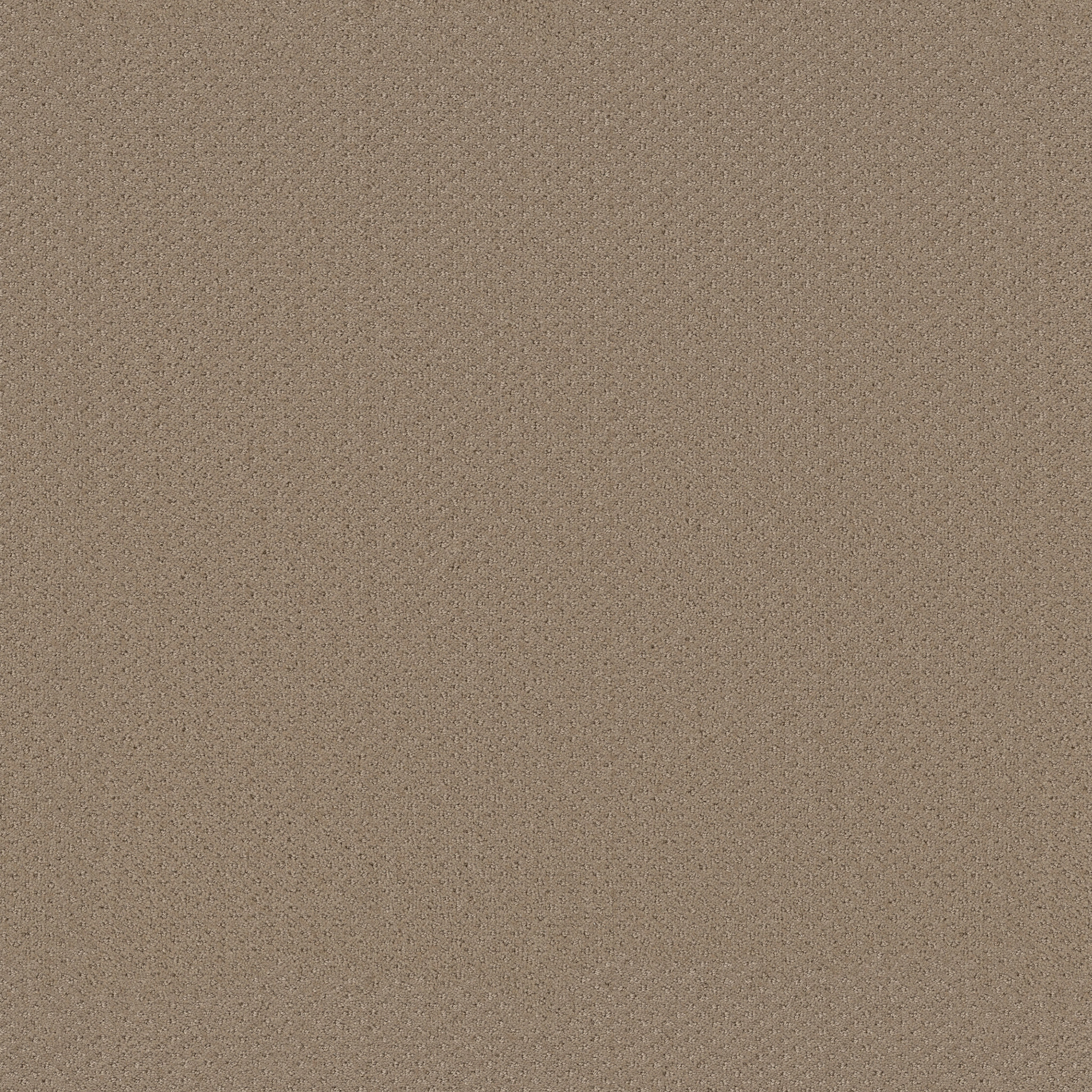 Suite Finesse-Biscotti-PZ029_00783