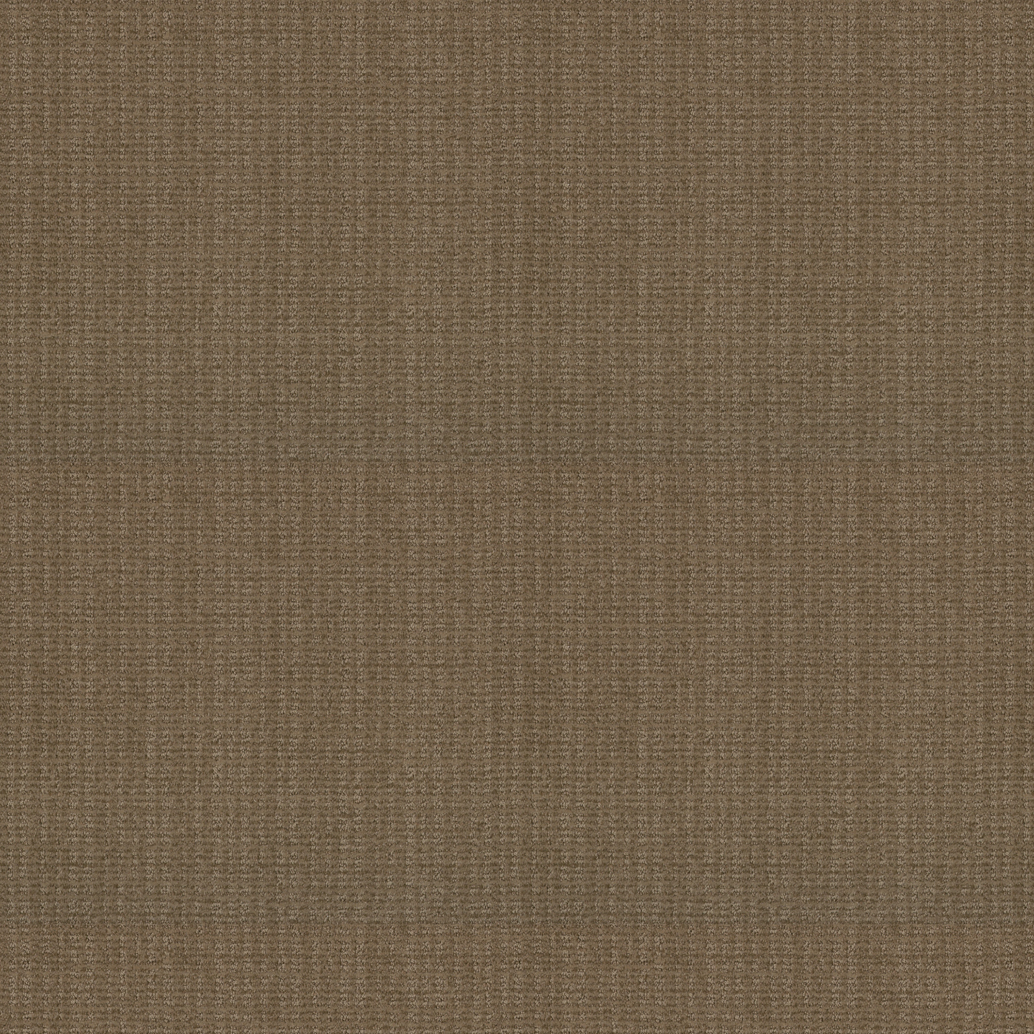 Urban Gateway-Summerville-PZ031_00776