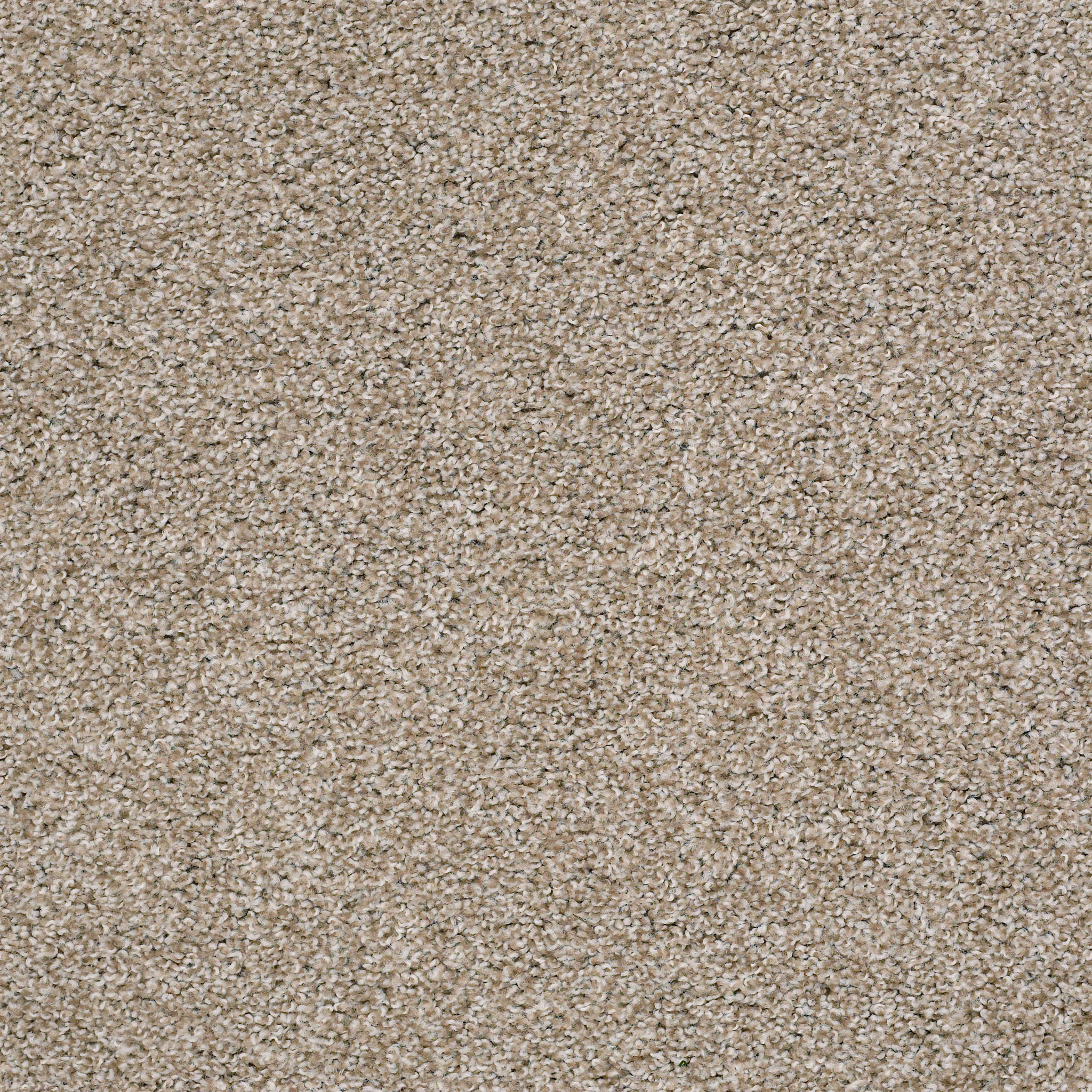 Spellbound-Quiet Tan