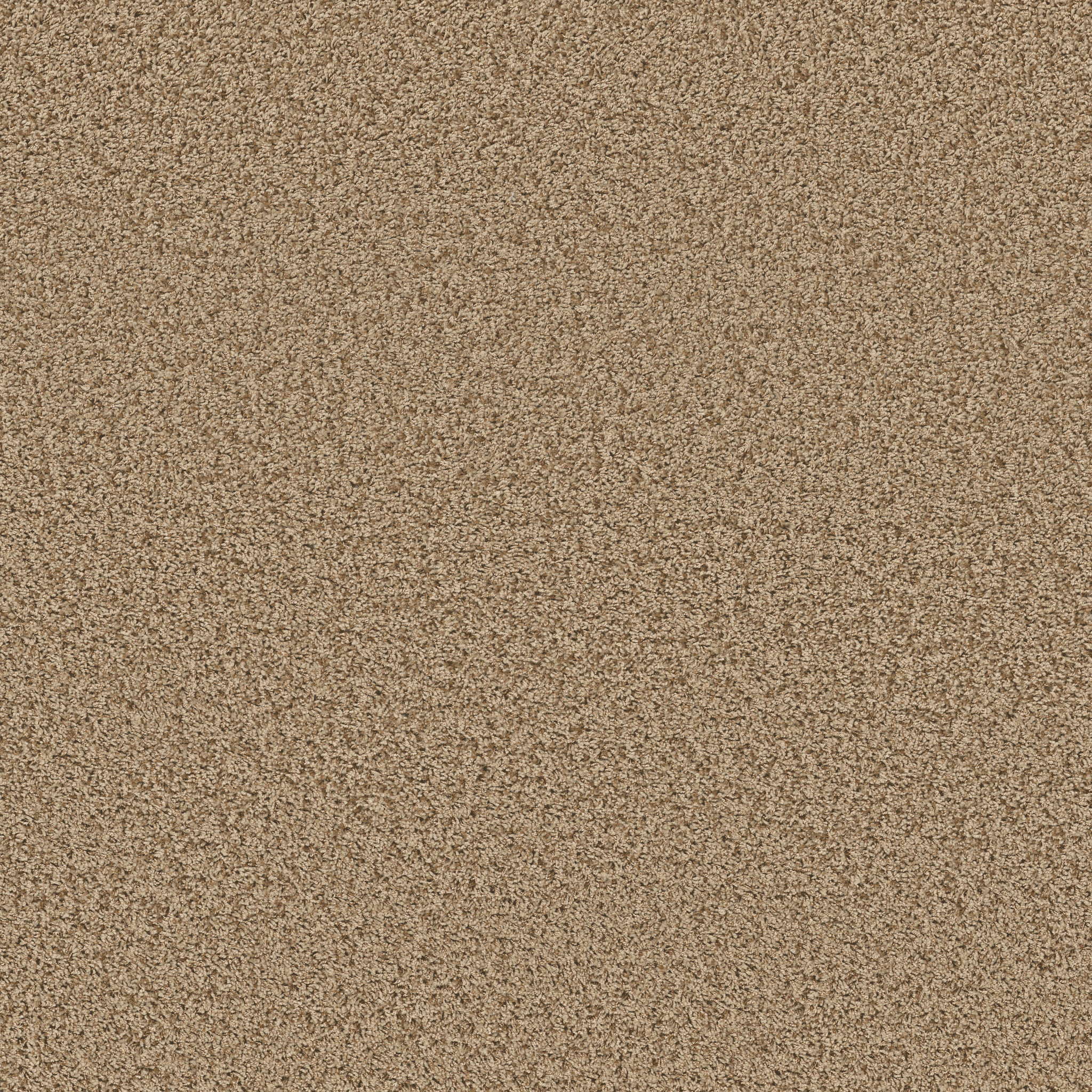 Dedication - Honey Butter - PZ047_00700