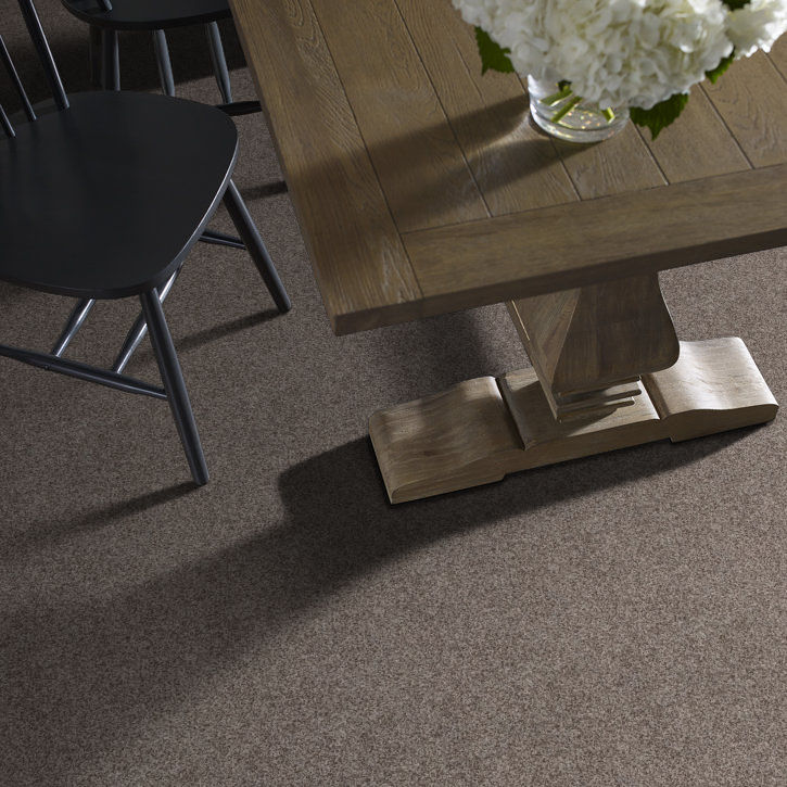 Harbour View - Soft Taupe Carpet in WA